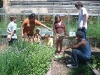 Gather’n Greens Organic Farm