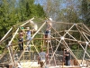 Idigenous Plant Greenhouse