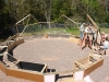 Idigenous Plant Greenhouse-107