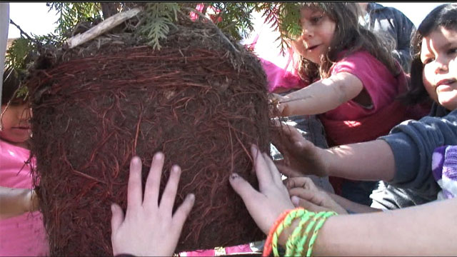 Students from the Hannahville Indian School (Nah Tah Wahsh PSA) planting the cedar tree saplings.