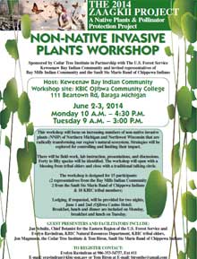 View Non-Native Invasive Plants Poster at full size