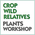 Crop Wild Relatives Plants Workshop